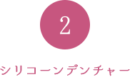シリコーンデンチャー